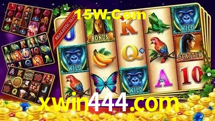 xwin444.com Salvador - Strategy